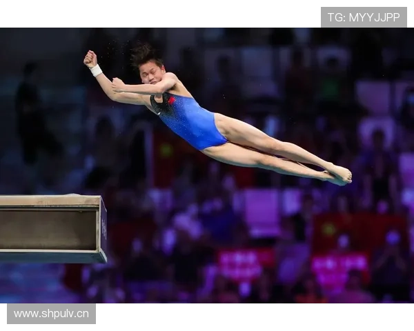 跳水技术分析：从起跳到入水的关键动作与技巧解析