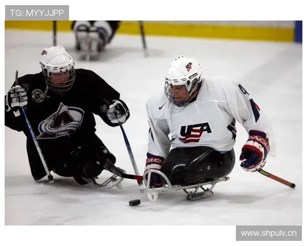 全球冰球历史强队综合实力排名深度解析与时代变迁全景展望分析篇